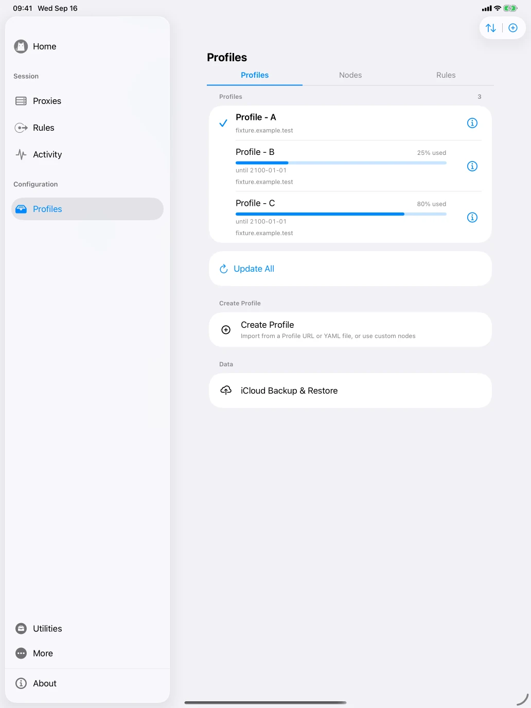 iPad · Profiles