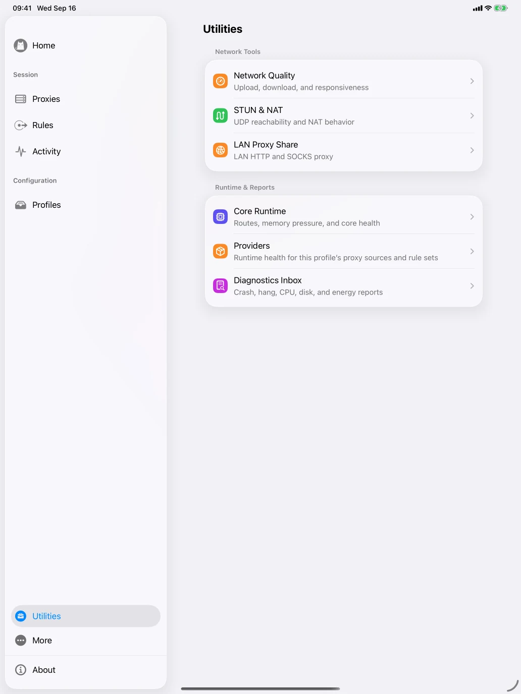 iPad · Network utilities
